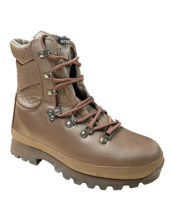 Bottes De Combat Meindl Bundeswehr GTX Légères - Occasion Très Bon état, Origine Allemagne